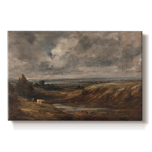 Canvas art print portraying an open heath landscape with low vegetation and expansive sky, set against a white background