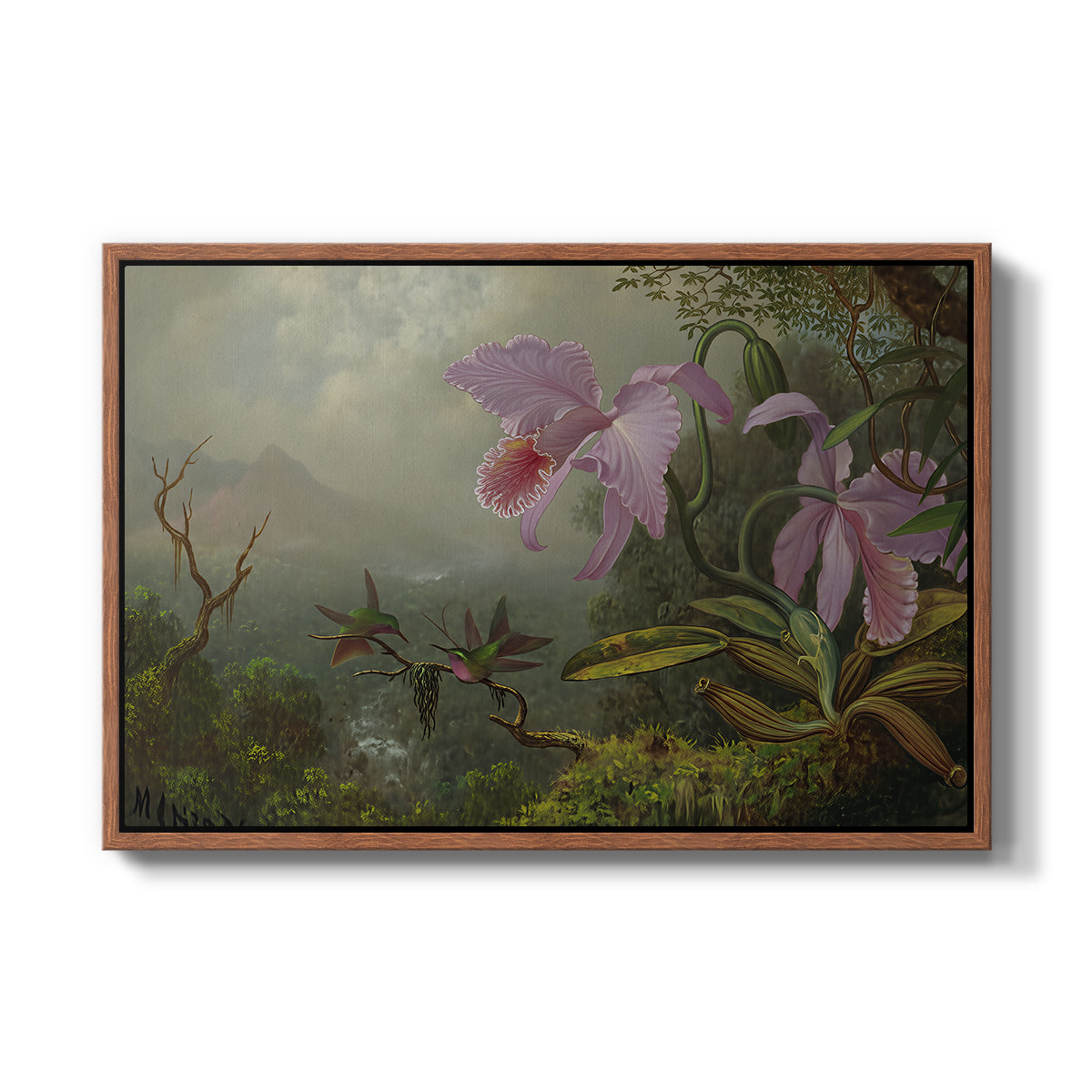 Two Sun Angel Hummingbirds on a Branch, c. 1890-1904 - Floater Framed Canvas Print