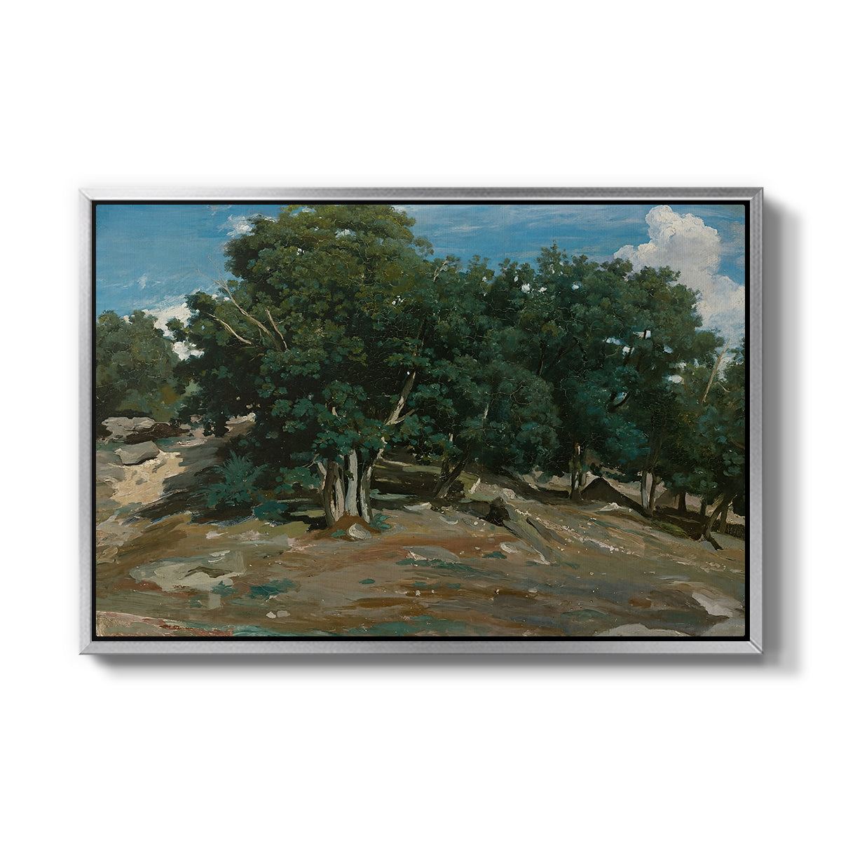 Fontainebleau: Oak Trees at Bas-Bréau, c. 1830-1835 - Floater Framed Canvas Print