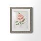 Grandiflora III - Premium Framed Print - Distressed Barnwood Frame - Ready to Hang