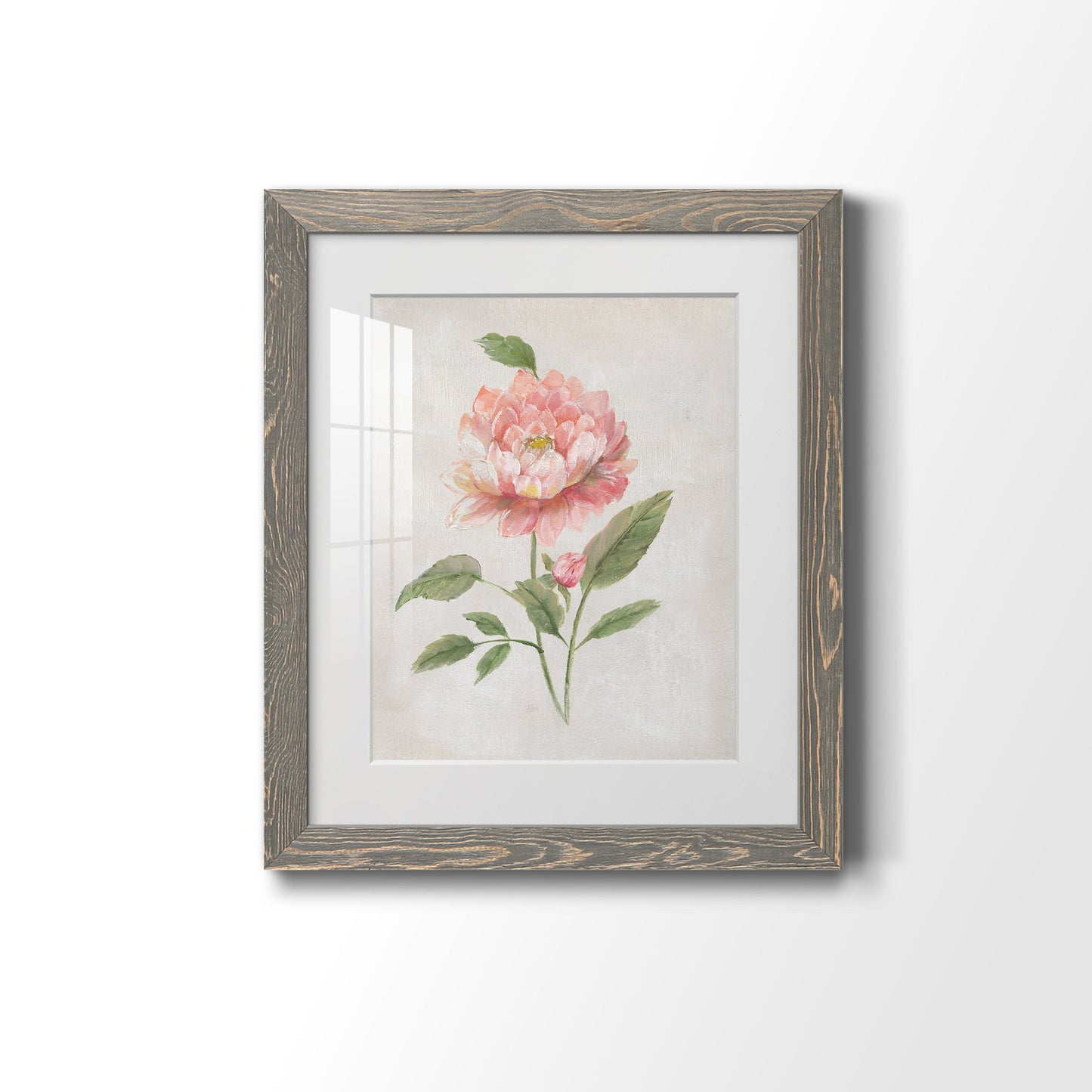 Grandiflora III - Premium Framed Print - Distressed Barnwood Frame - Ready to Hang