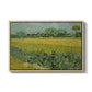 Field with Irises near Arles, 1888 - Floater Framed Canvas Print