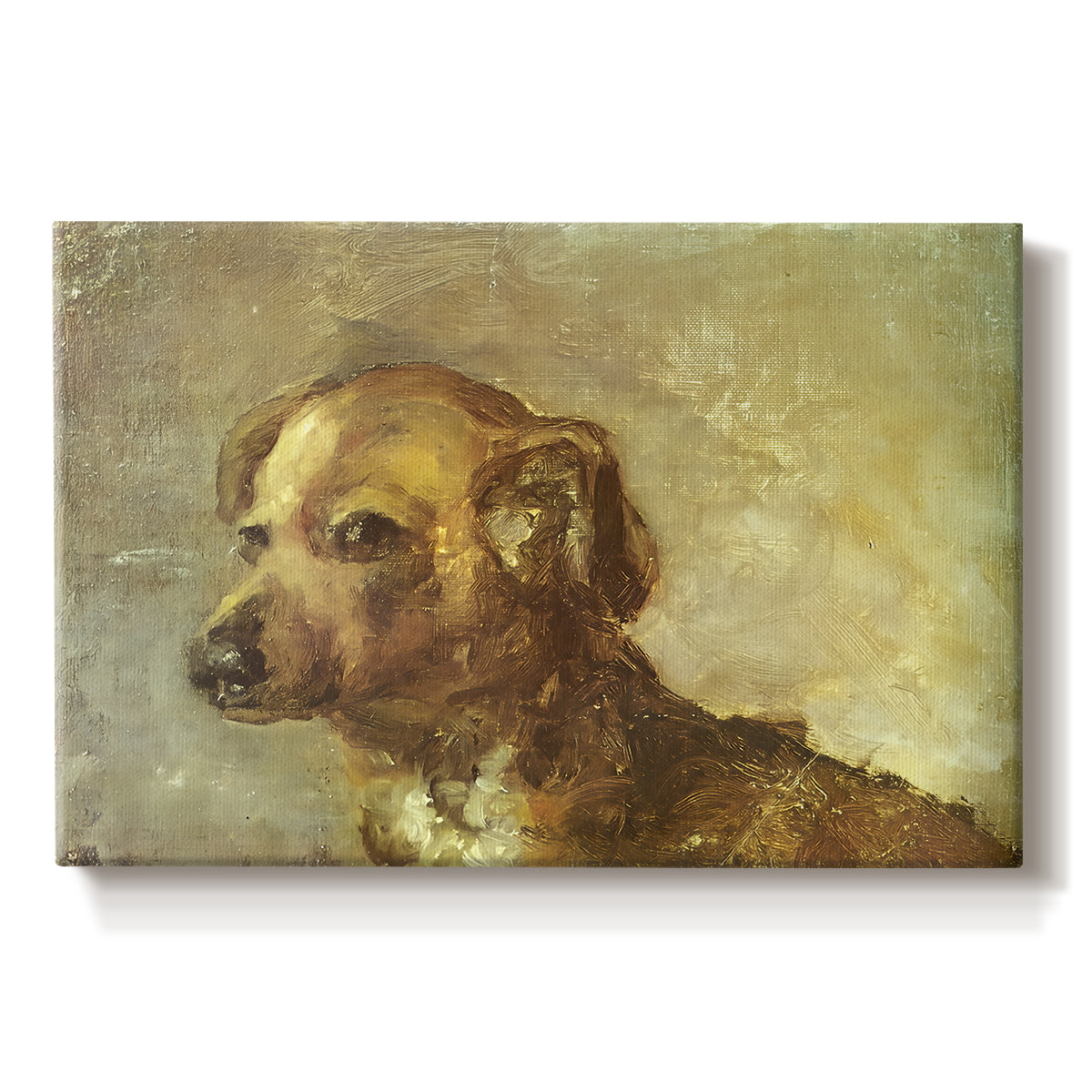 Canvas art print portraying a small dog resting with soft brushwork in warm-toned composition, set against a white background
