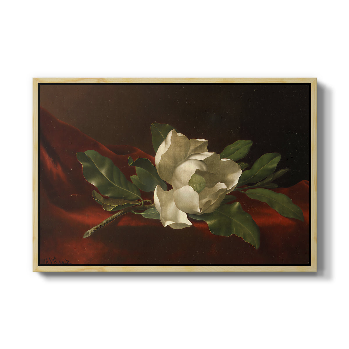 Magnolia on Red Velvet, c. 1885-1890 - Floater Framed Canvas Print