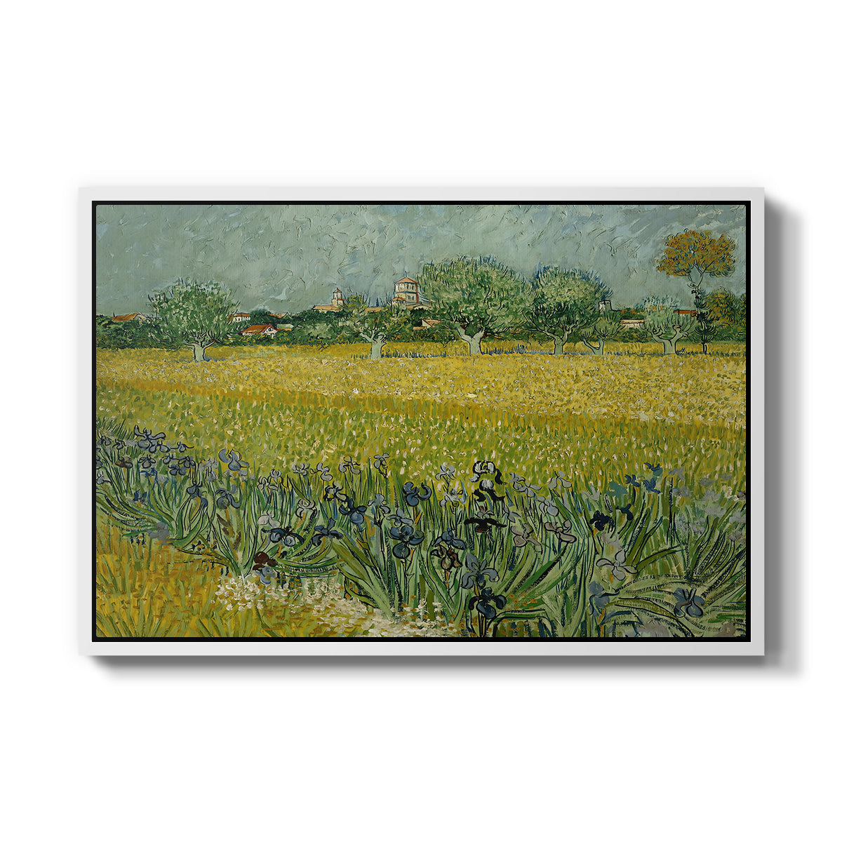 Field with Irises near Arles, 1888 - Floater Framed Canvas Print