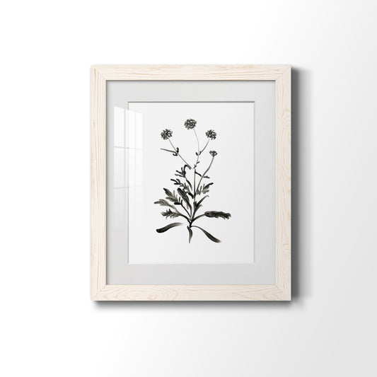 Inky Botanical I - Premium Framed Print - Distressed Barnwood Frame - Ready to Hang