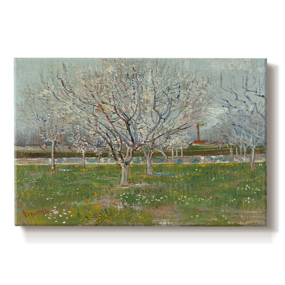 Canvas art print portraying evenly spaced trees covered in blossoms across flat orchard landscape, set against a white background
