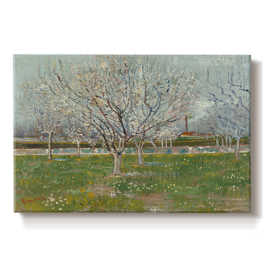Canvas art print portraying evenly spaced trees covered in blossoms across flat orchard landscape, set against a white background