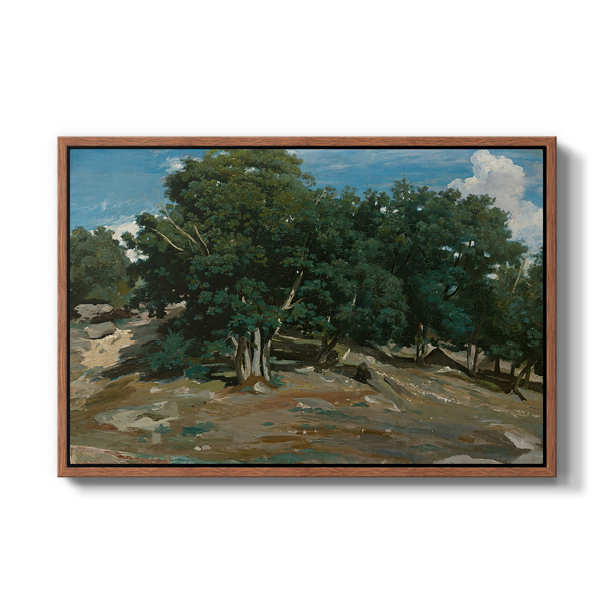 Fontainebleau: Oak Trees at Bas-Bréau, c. 1830-1835 - Floater Framed Canvas Print