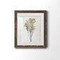 Farmhouse Pressed Flower II - Barnwood Framed Art Print