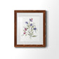 Color Variety III - Barnwood Framed Art Print