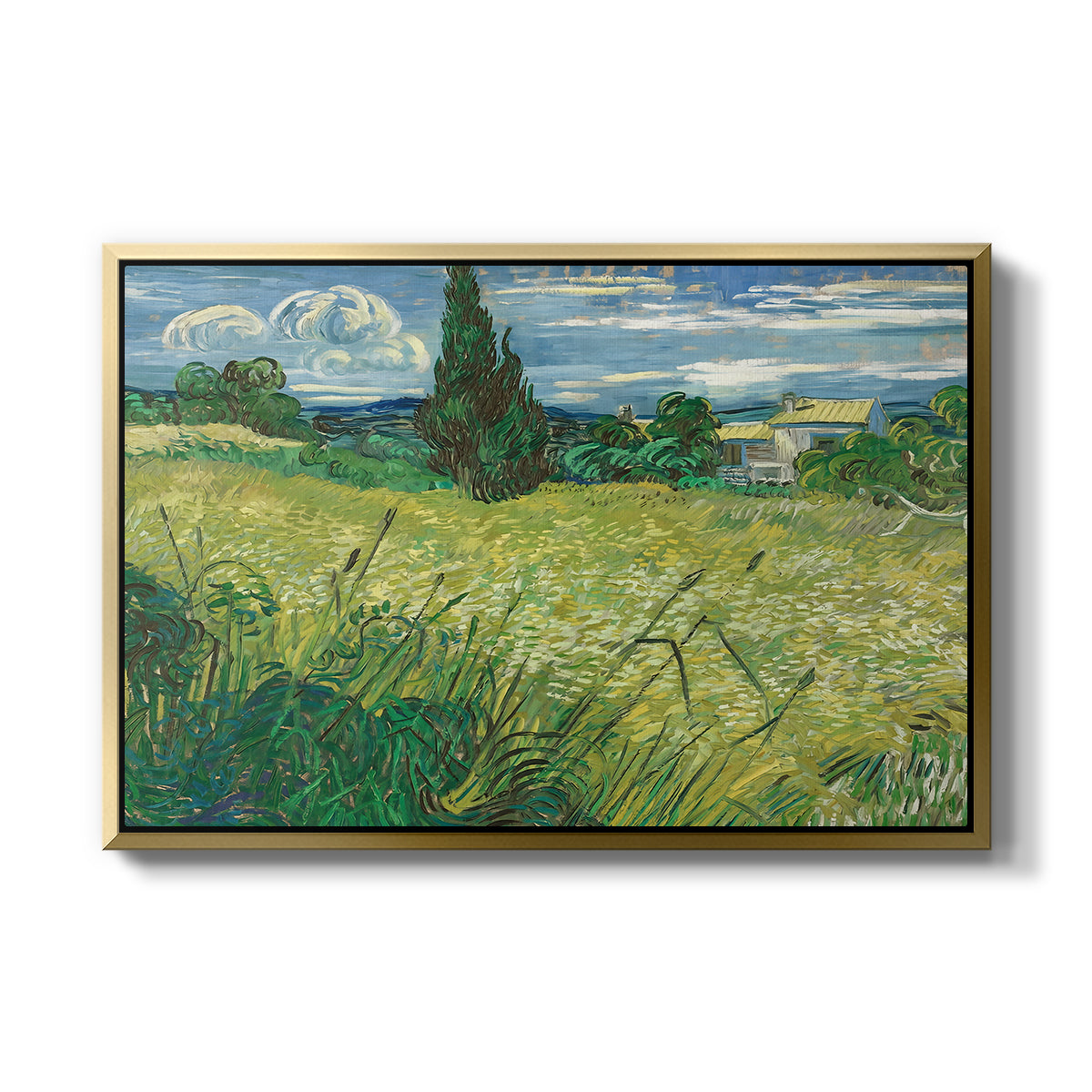 Green Wheat Field with Cypress, 1889 - Floater Framed Canvas Print