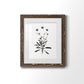 Inky Botanical I - Barnwood Framed Art Print