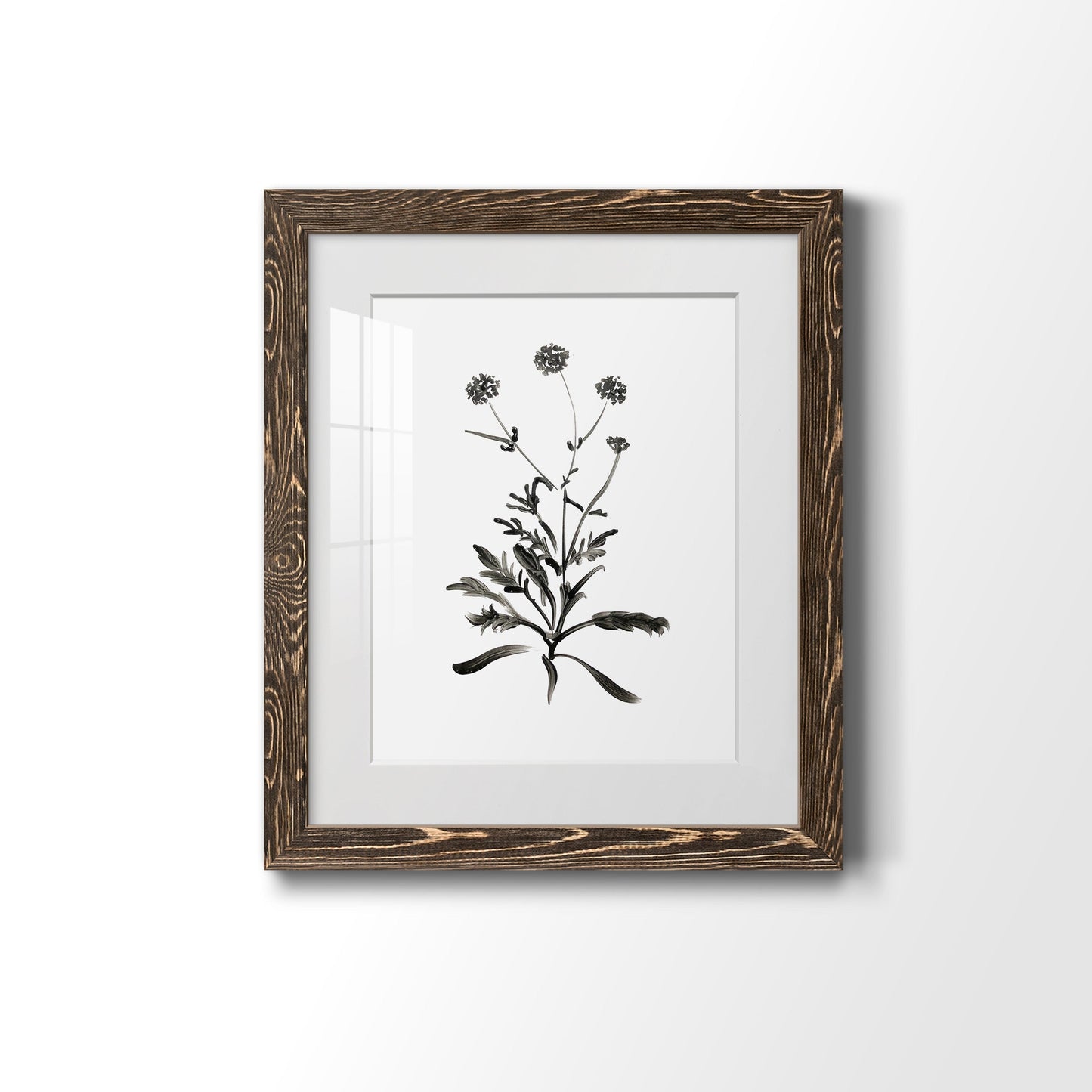 Inky Botanical I - Barnwood Framed Art Print