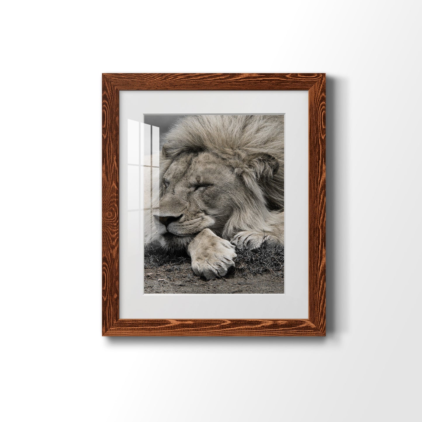 Sleepy Afternoon in Masai Mara - Premium Framed Print - Distressed Barnwood Frame - Ready to Hang