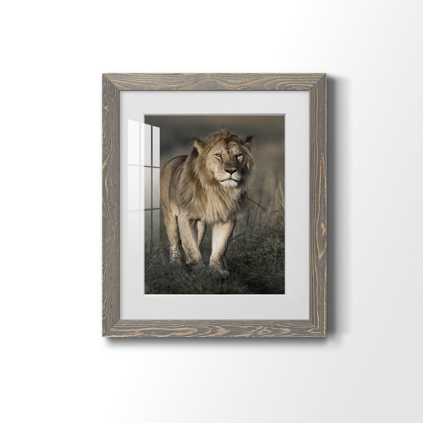 Morning Walk in Masai Mara - Premium Framed Print - Distressed Barnwood Frame - Ready to Hang