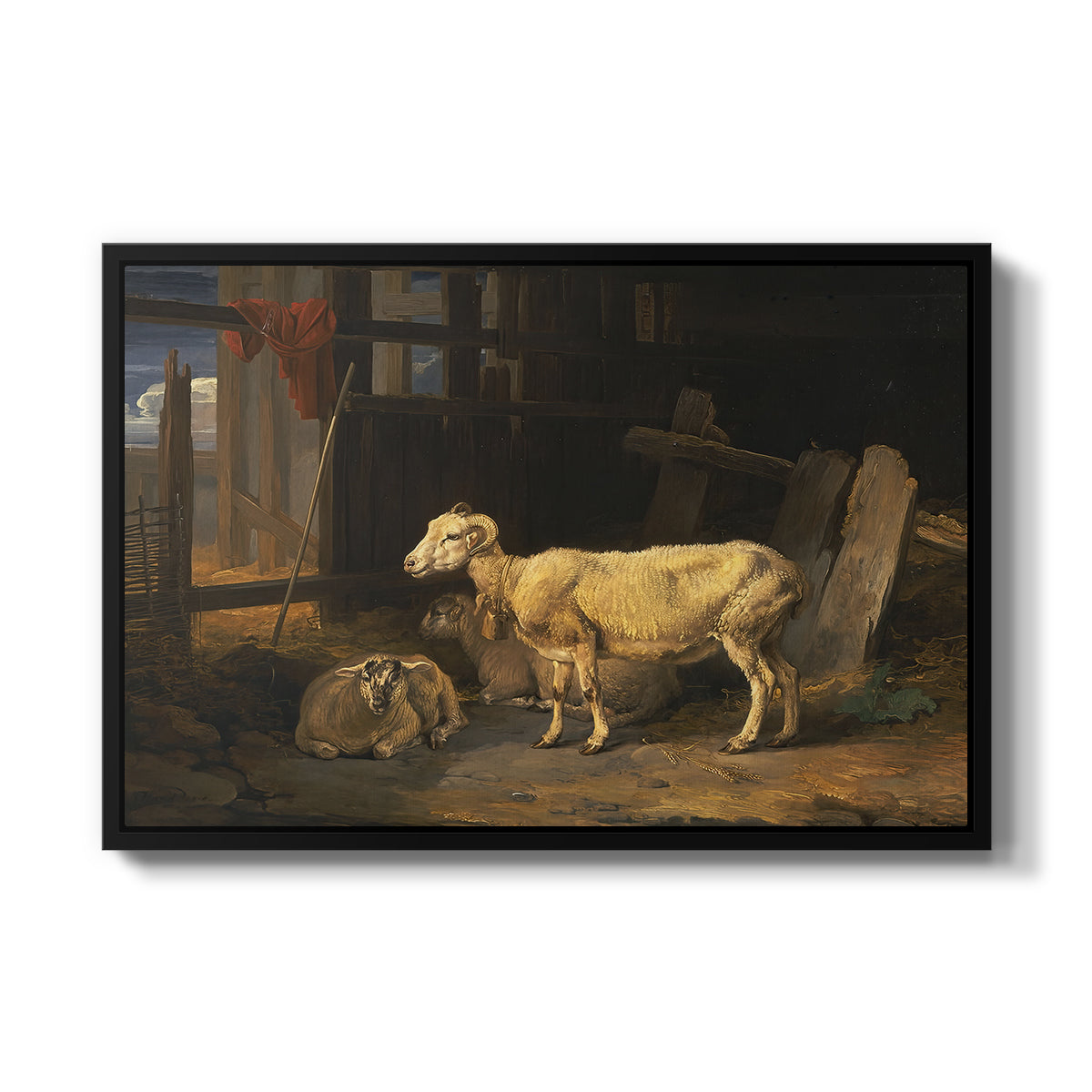 Sheep in a Stable, 1810 - Floater Framed Canvas Print