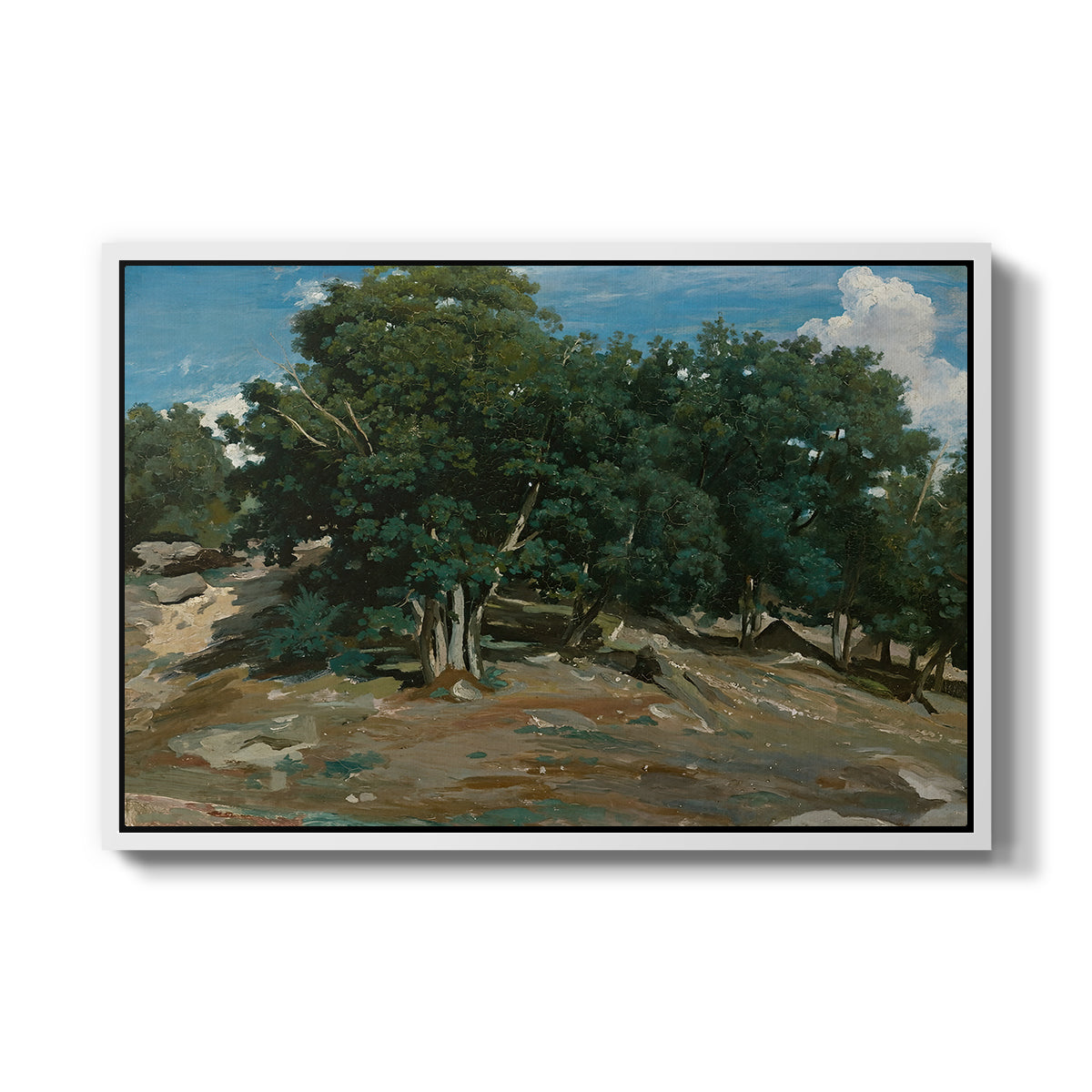 Fontainebleau: Oak Trees at Bas-Bréau, c. 1830-1835 - Floater Framed Canvas Print