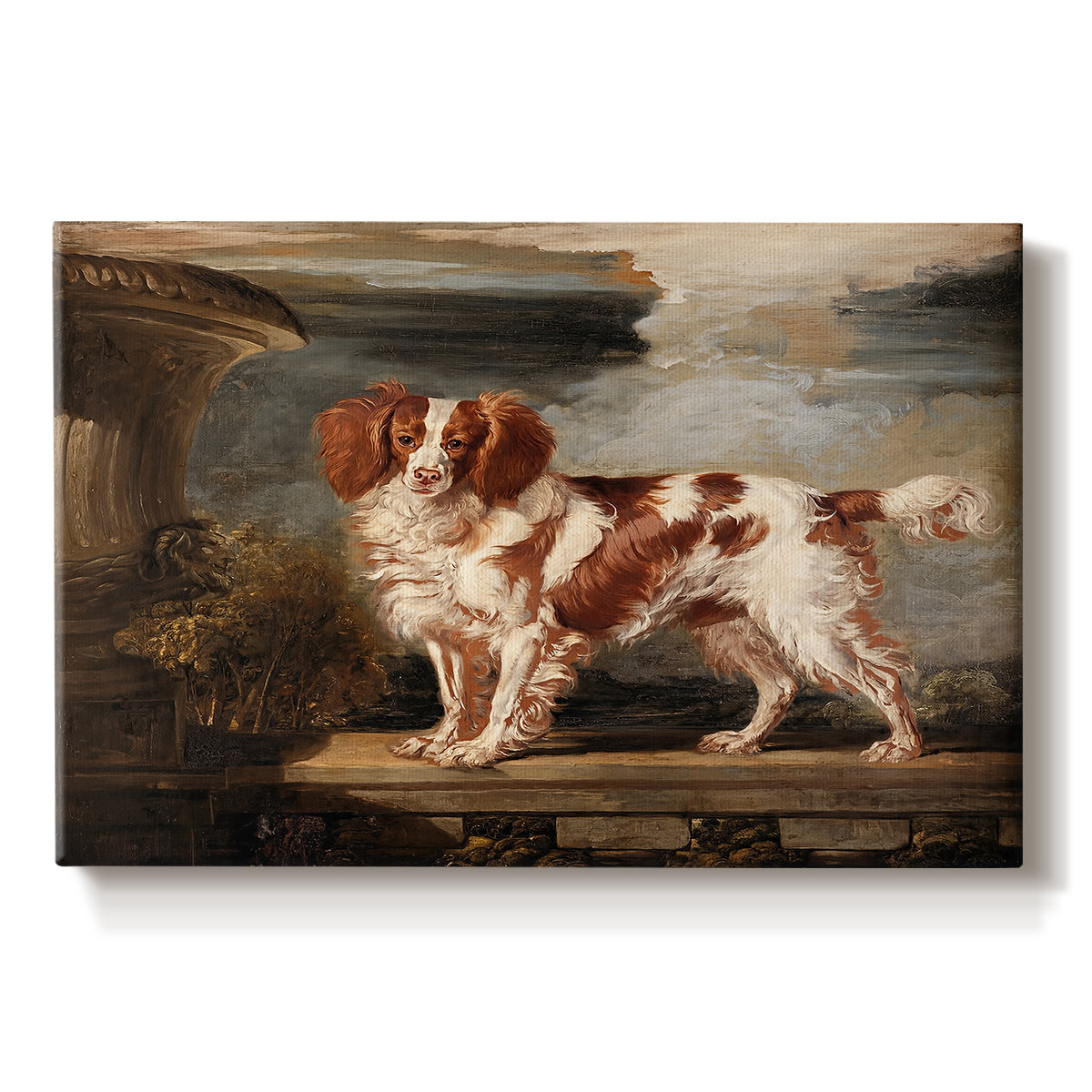 Canvas art print portraying a spaniel dog resting in landscape with attentive expression, set against a white background