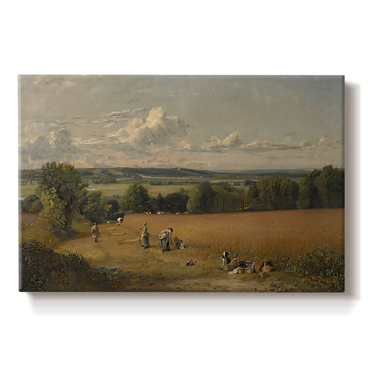 Canvas art print portraying an open field with path through crops under wide sky, set against a white background