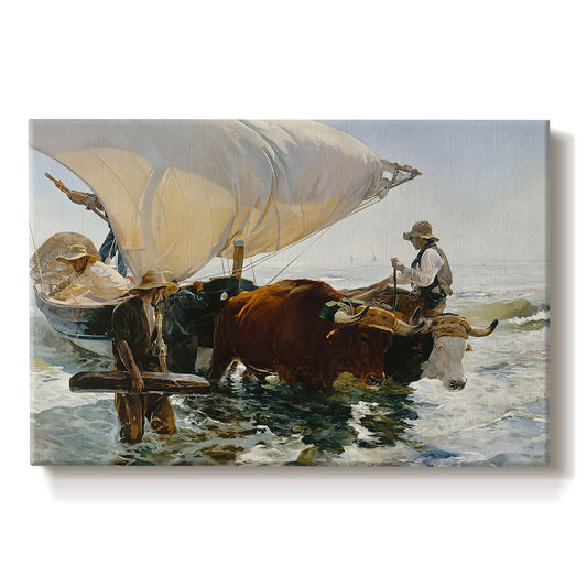 Canvas art print portraying fishermen pulling boat ashore with oxen along beach, set against a white background