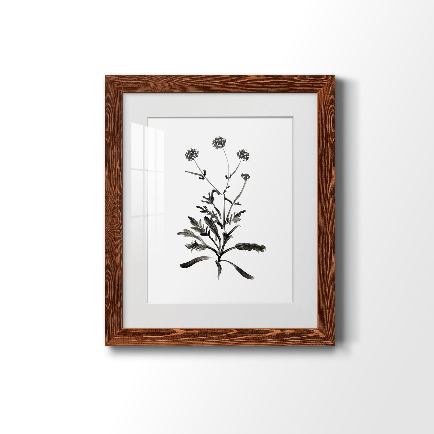 Inky Botanical I - Barnwood Framed Art Print