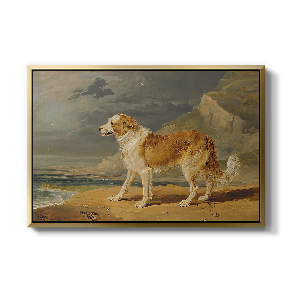 Rough-Coated Collie, 1809 - Floater Framed Canvas Print