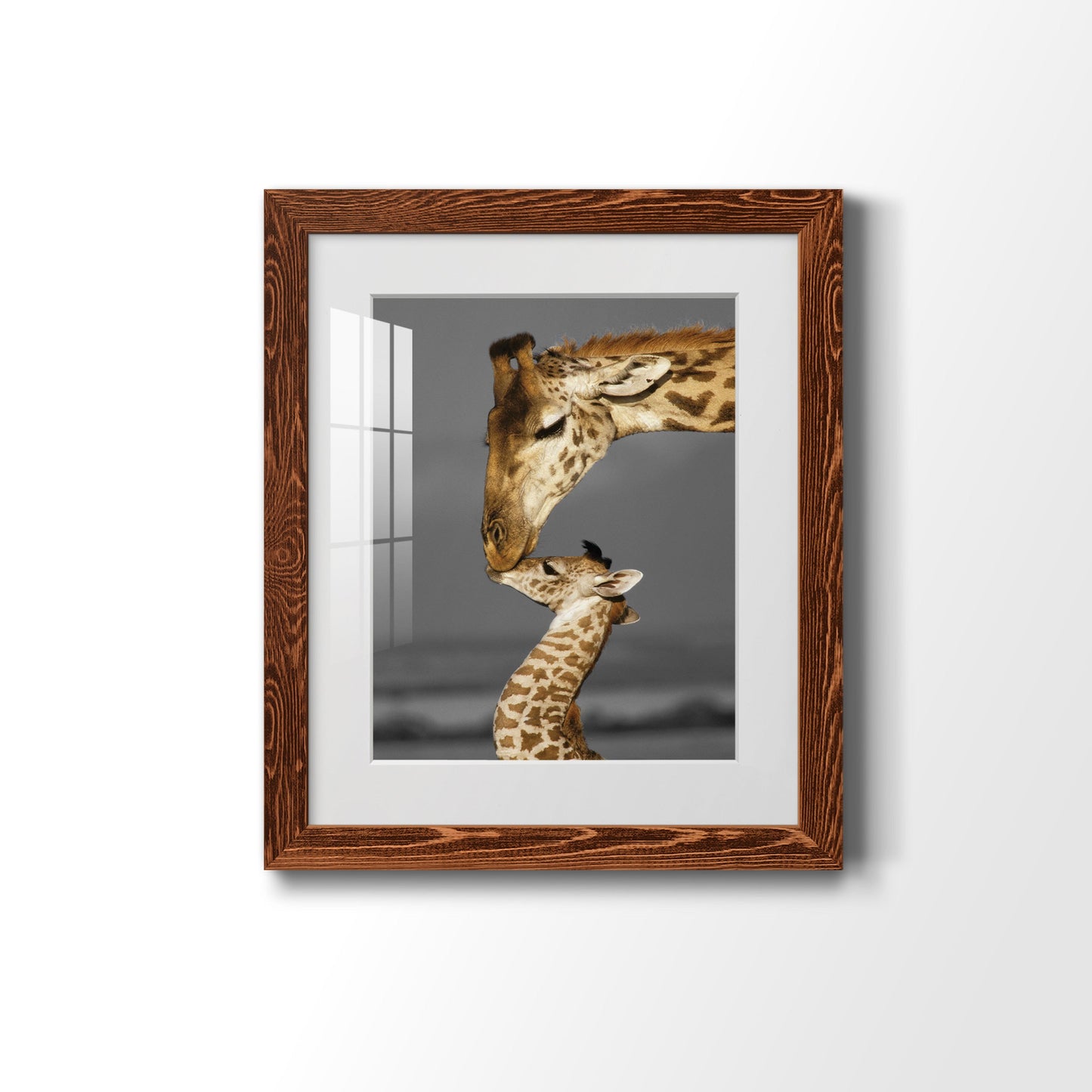 Masai Mara Giraffe Family - Premium Framed Print - Distressed Barnwood Frame - Ready to Hang