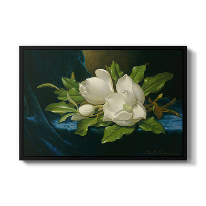 Giant Magnolias on a Blue Velvet Cloth, c. 1890 - Floater Framed Canvas Print