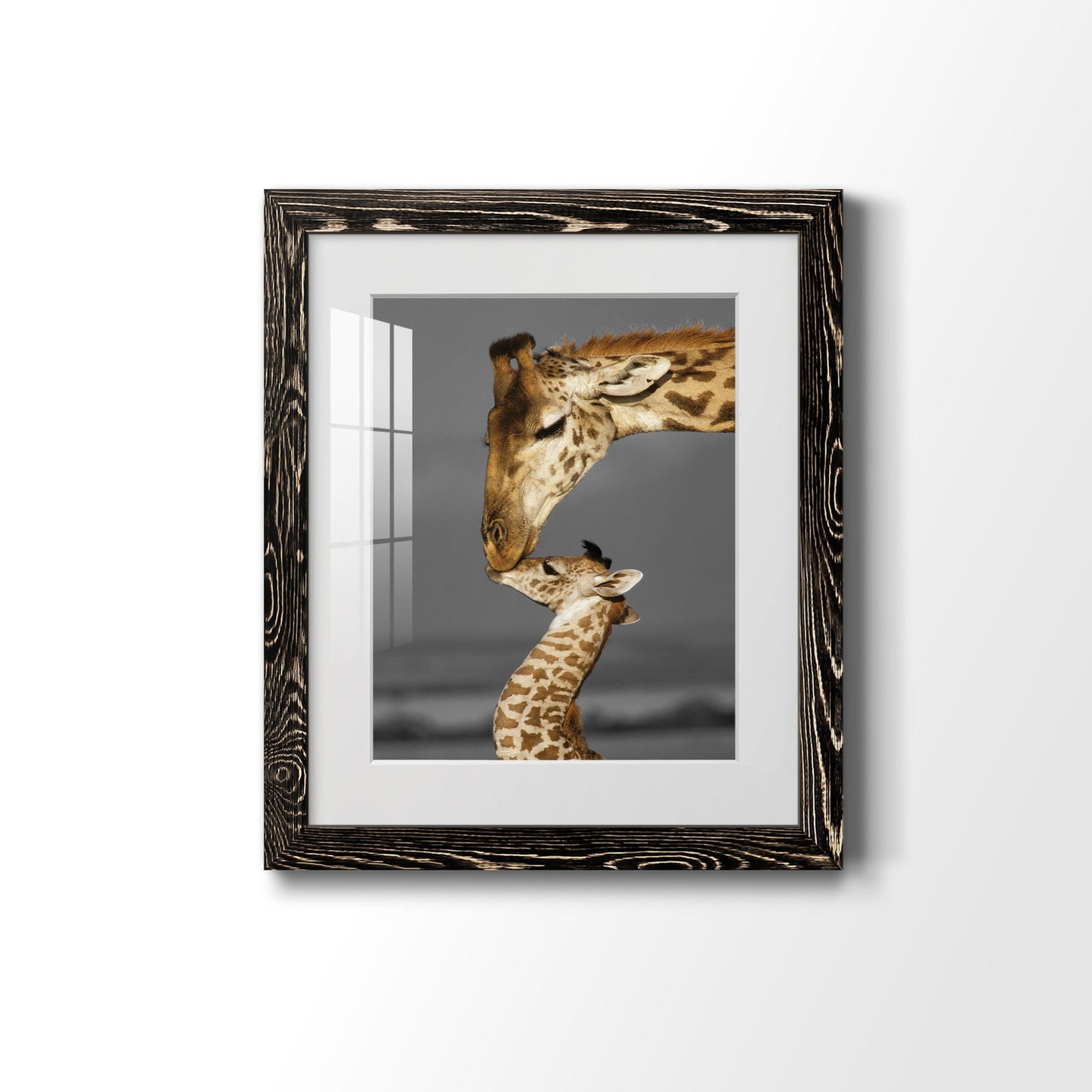 Masai Mara Giraffe Family - Premium Framed Print - Distressed Barnwood Frame - Ready to Hang