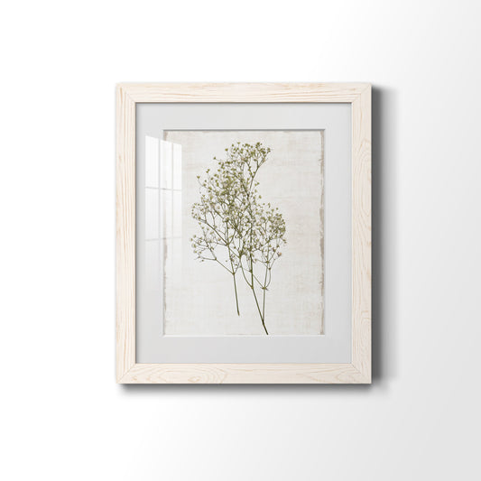 Farmhouse Pressed Flower I - Barnwood Framed Art Print