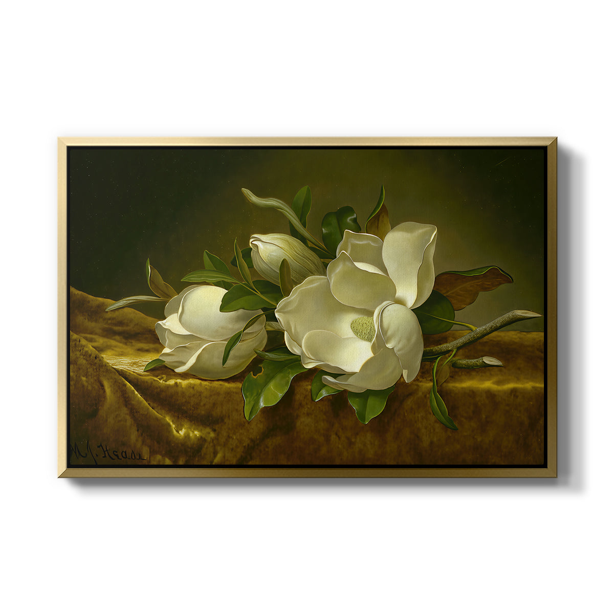 Magnolias on Gold Velvet Cloth, c. 1888-1890 - Floater Framed Canvas Print