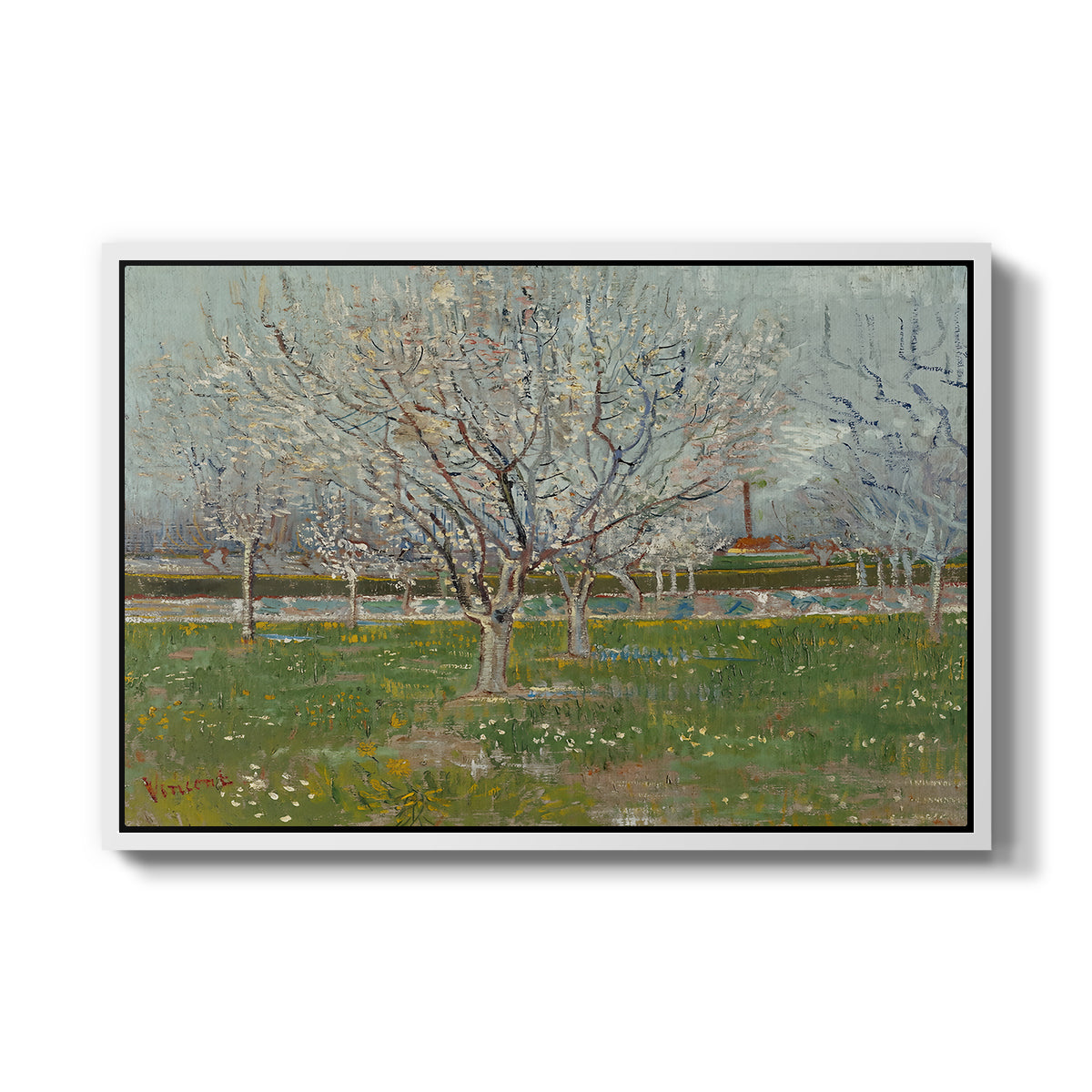 Orchard in Blossom (Plum Trees), 1888 - Floater Framed Canvas Print