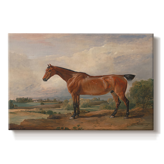 Canvas art print portraying a mounted hunter with dog in open rural landscape, set against a white background