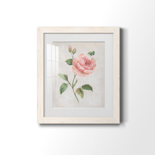 Grandiflora I - Premium Framed Print - Distressed Barnwood Frame - Ready to Hang