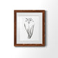 Inky Botanical II - Barnwood Framed Art Print