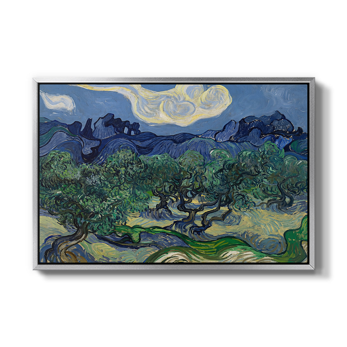 Olive Trees with the Alpilles in the Background, 1889 - Floater Framed Canvas Print