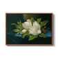 Giant Magnolias on a Blue Velvet Cloth, c. 1890 - Floater Framed Canvas Print