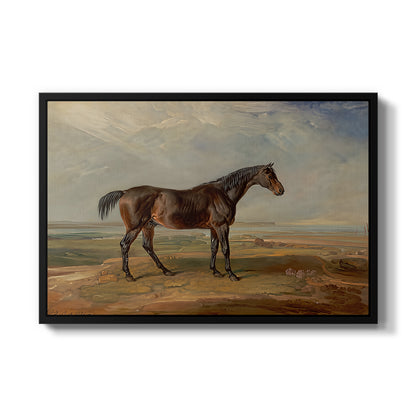 Dr. Syntax, a Bay Racehorse, Standing in a Coastal Landscape, an Estuary Beyond, c. 1820 - Floater Framed Canvas Print