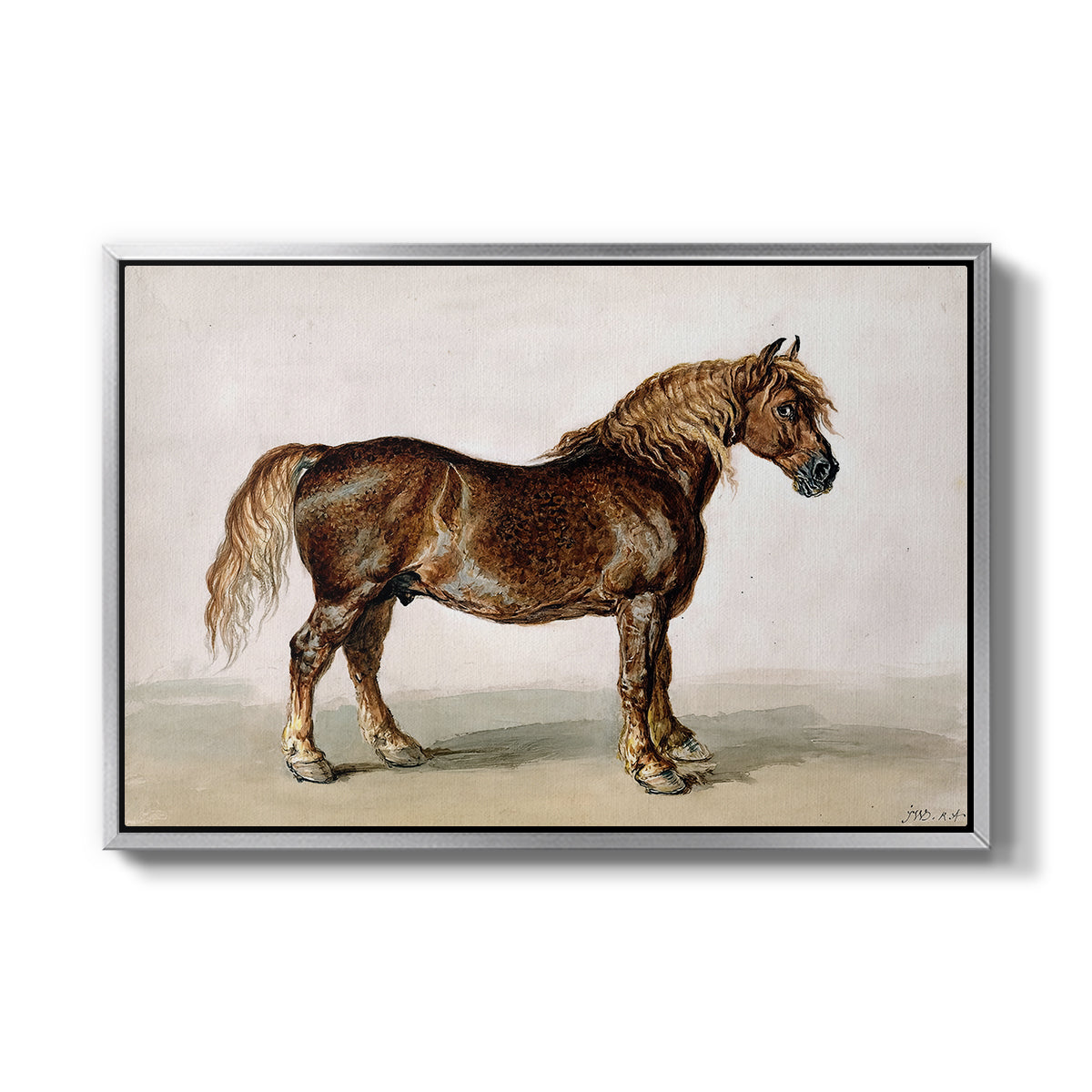A Cart-Horse - Floater Framed Canvas Print