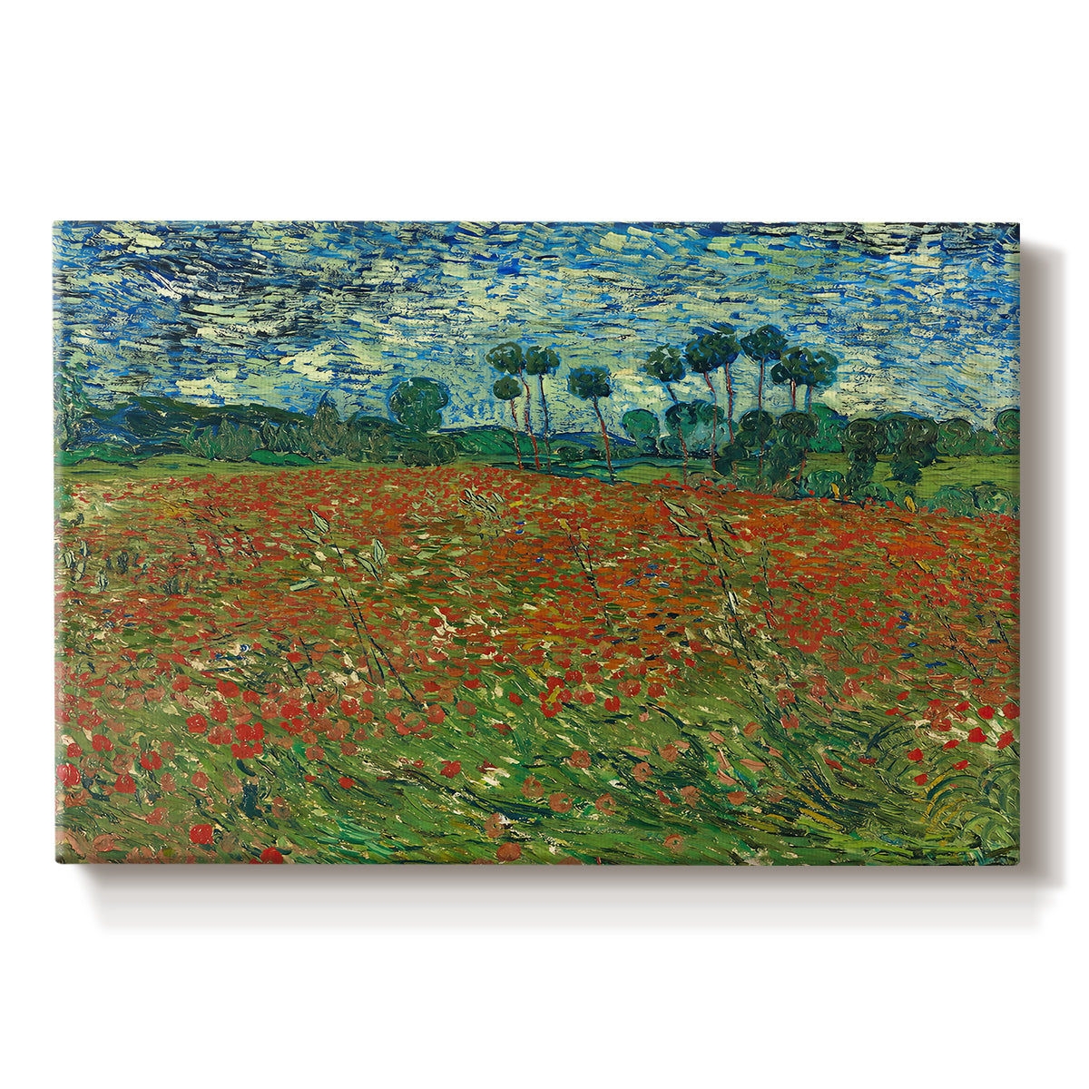 Canvas art print portraying a field dotted with red poppies stretching across green landscape, set against a white background
