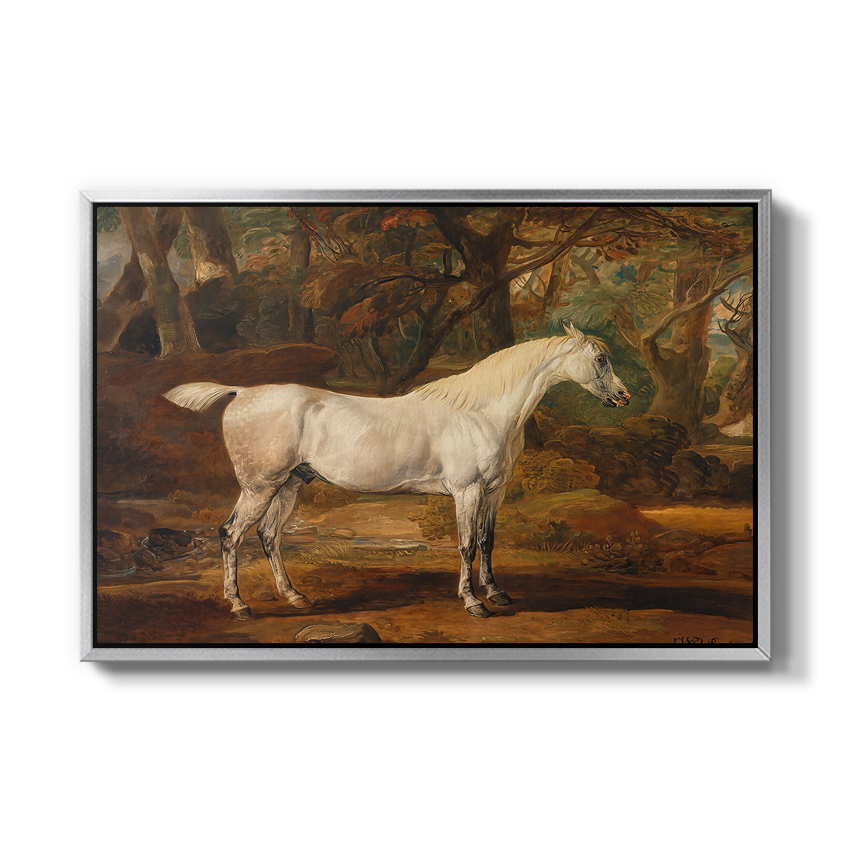 Grey Arabian Stallion, Property of Sir Watkin Williams-Wynn, c. 1817 - Floater Framed Canvas Print