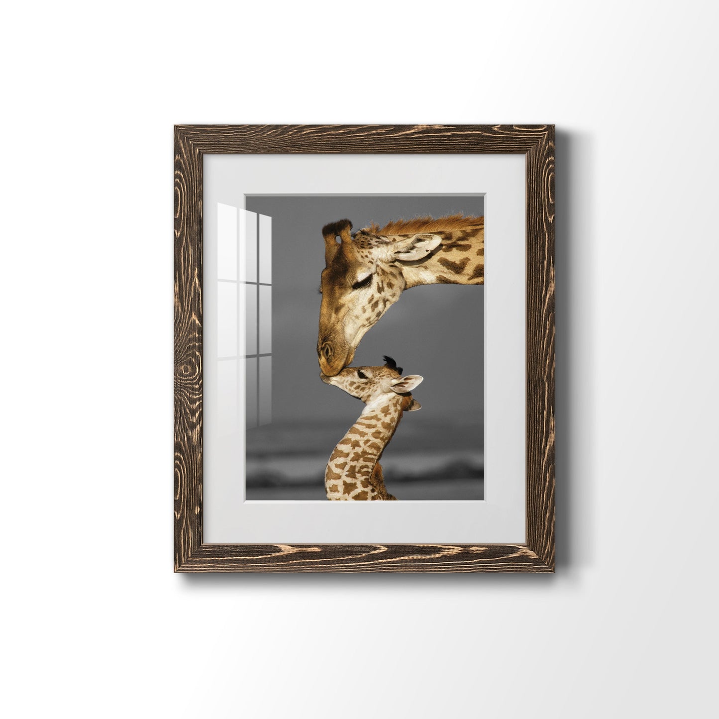 Masai Mara Giraffe Family - Premium Framed Print - Distressed Barnwood Frame - Ready to Hang