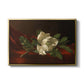 Magnolia on Red Velvet, c. 1885-1890 - Floater Framed Canvas Print