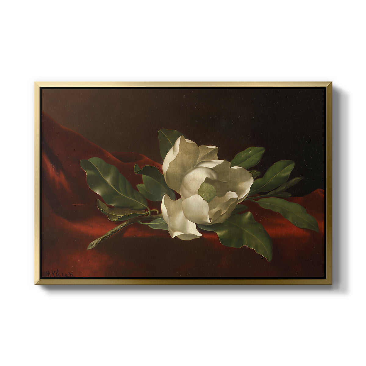 Magnolia on Red Velvet, c. 1885-1890 - Floater Framed Canvas Print