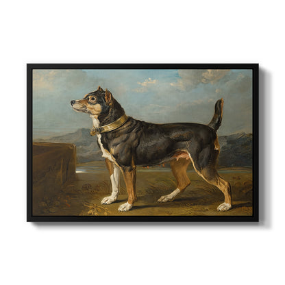 A Terrier in a Landscape, c. 1811 - Floater Framed Canvas Print
