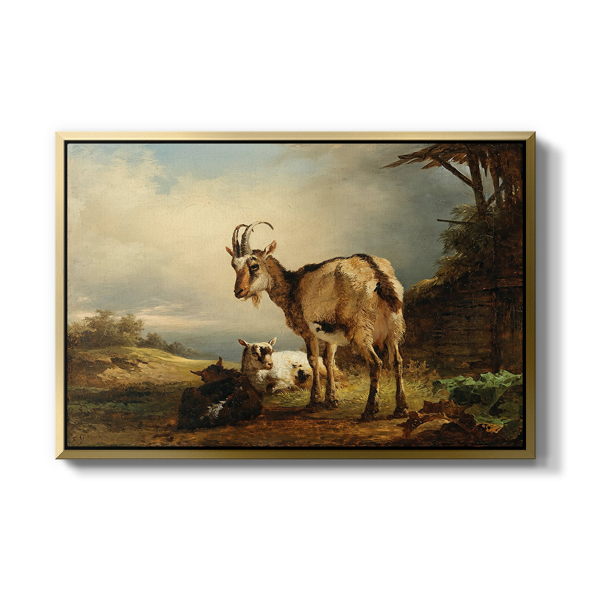 A Goat with Two Kids - Floater Framed Canvas Print