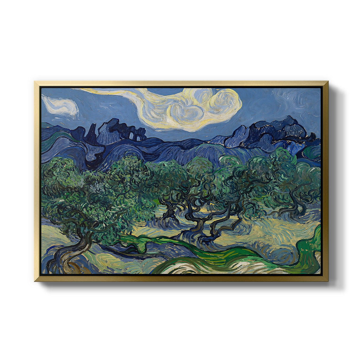 Olive Trees with the Alpilles in the Background, 1889 - Floater Framed Canvas Print