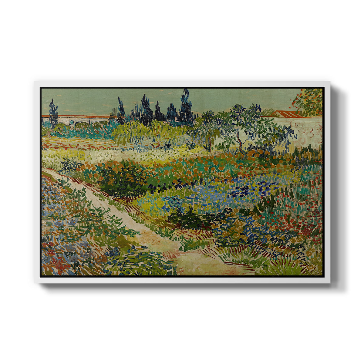 Garden at Arles, 1888 - Floater Framed Canvas Print