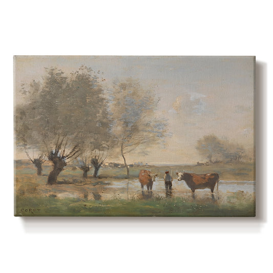 Canvas art print portraying a cows standing in wetland landscape with trees and water, set against a white background